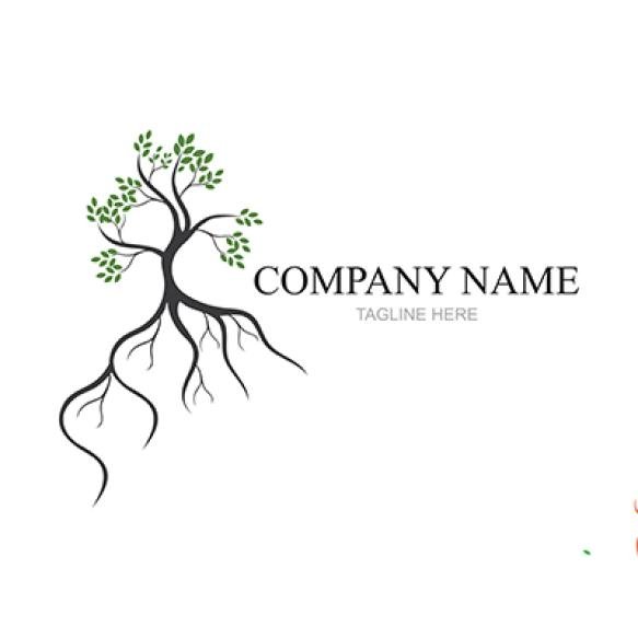 Mangrove Trees Mangrove Forest Ecology Logo Design Vector