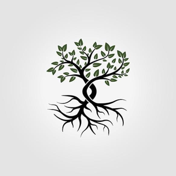 Natural Tree Logo Concept With Root Icon Vector Design Illustration Tree Growth Process From Roots L