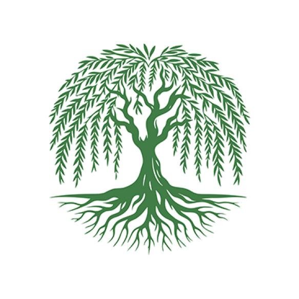 Root Tree Logo Vector Root Tree Vector Logo Symbol Illustration Design Oak Tree Vintage Logo Design