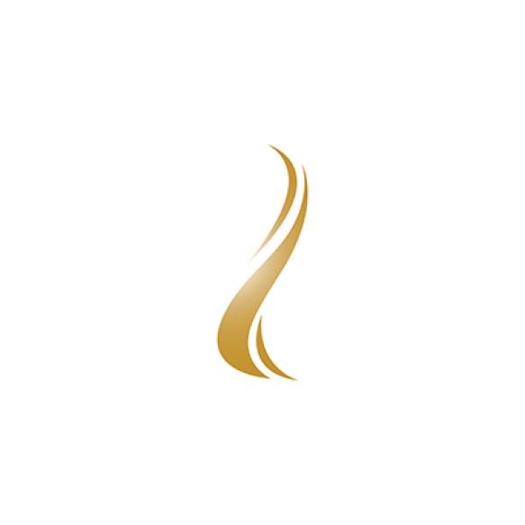 Hair Logo Template Vector Icon Illustration