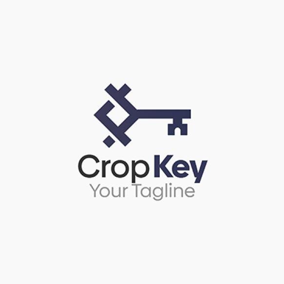 Crop Key Logo Vector Template Design Good Business Start Up Agency Organization