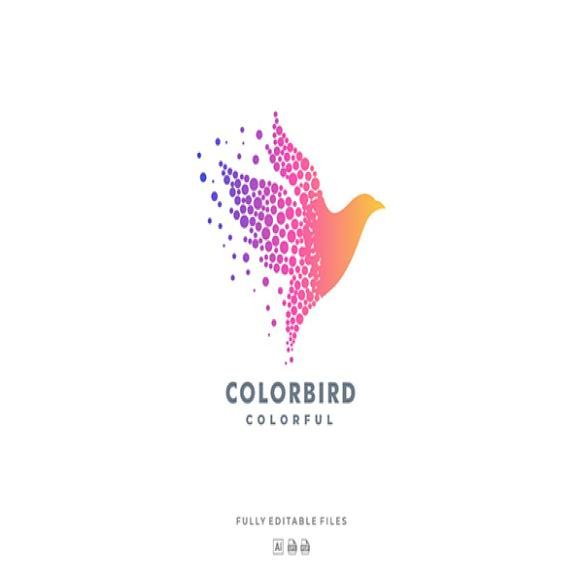 Abstract Bird Colorful Logo 2023 11 27 05 29 09 Utc