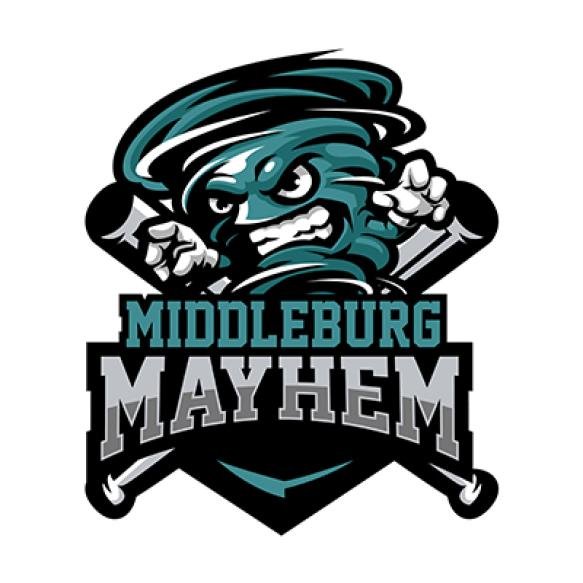 Baseball Sports Logo