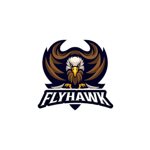 Hawk Mascot Logo 2023 11 27 05 25 21 Utc