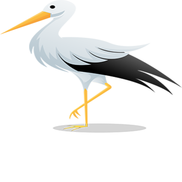 Stork Gradient Colorful Logo 2024 05 03 19 28 34 Utc (1)