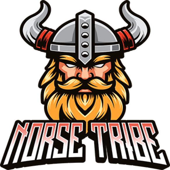 Viking Logo 2024 03 20 16 54 18 Utc