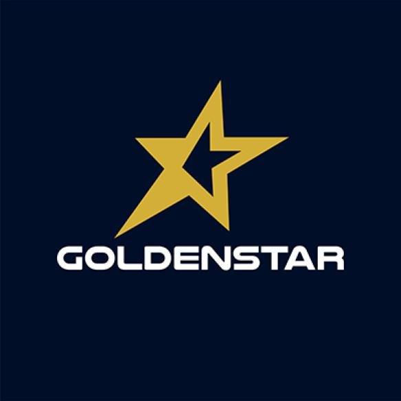 Golden Star Logo Flat Vector Design
