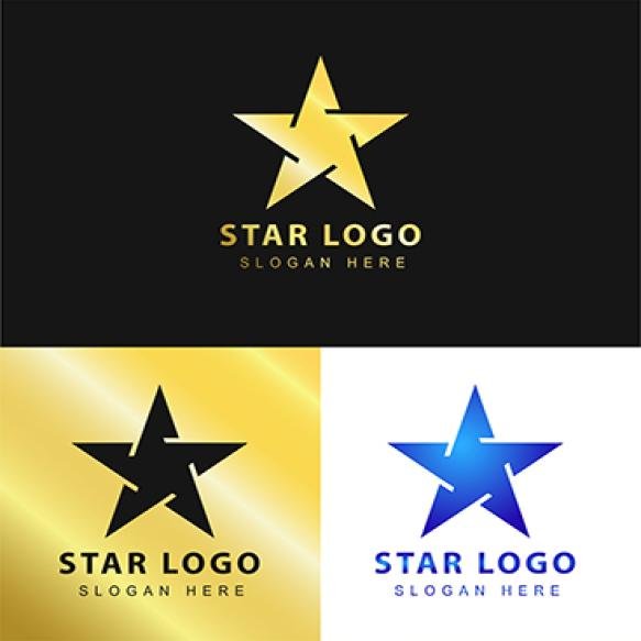 Silver Gold Vector Graphic Company Leader Symbol With Star Shape Star Logo (1)