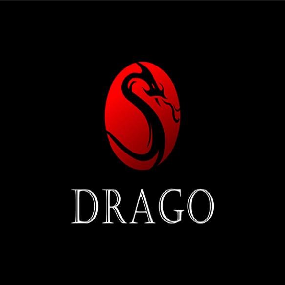 Dragon Illustration Logo White Background