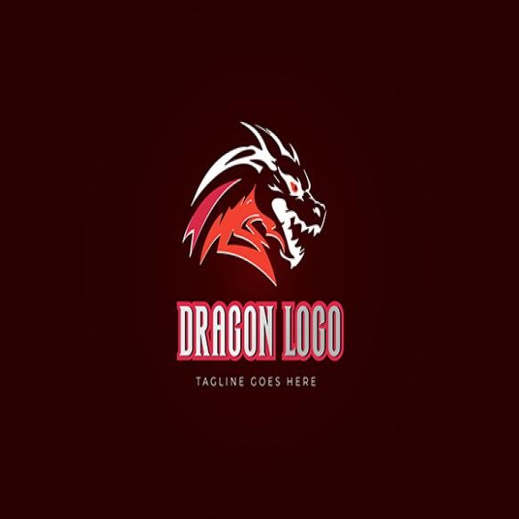 Dragon Logo Design (1)