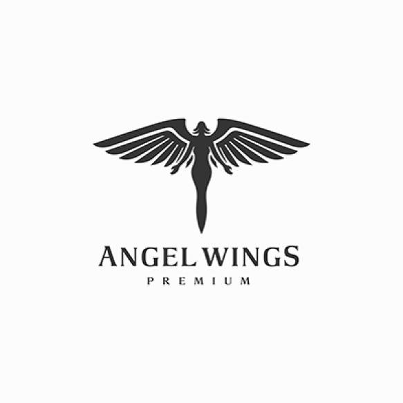Angel Logo Design Illustration With Wings Award 3