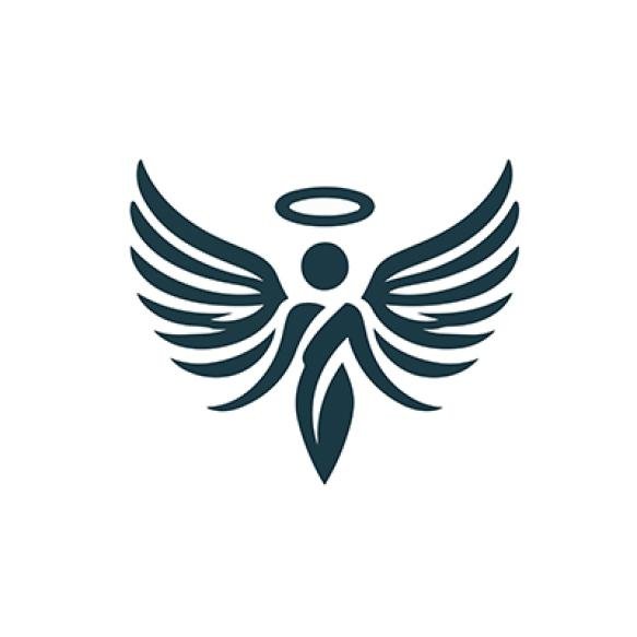 Angel Wings Logo Vector White Background