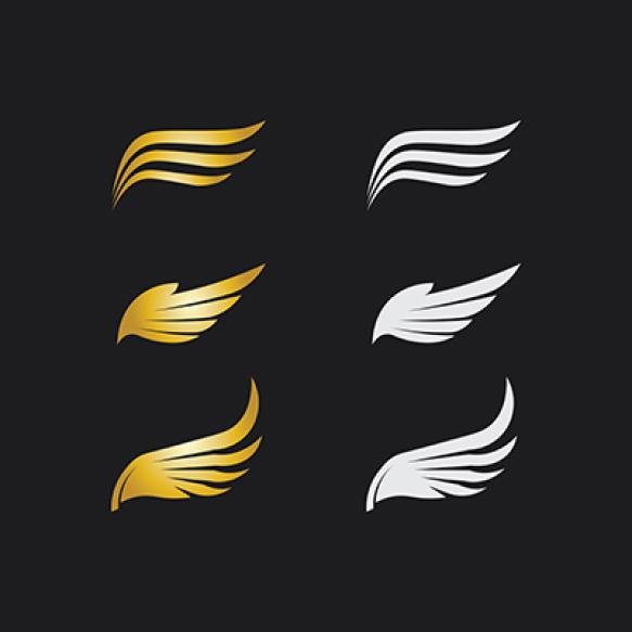 Falcon Eagle Logo Wings Template Vector Illustration Design Icon