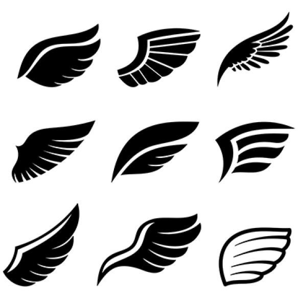 Set Black Wings Icons Symbolizing Freedom Power Versatile Wing Designs Add Touch Mystique Projects P