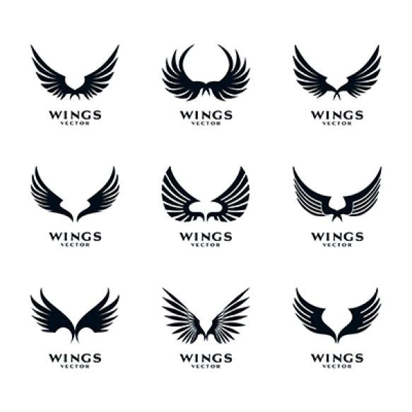 Wings Icon Logo Template Vector Set
