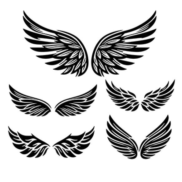 Wings Icon Set