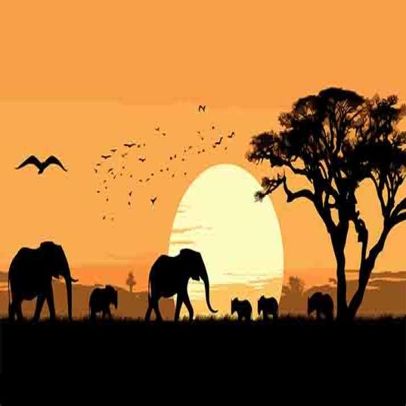 African Safari Animal Silhouette Landscape Scene