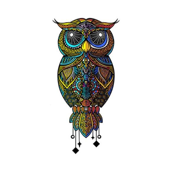 Colorful Owl Zentangle Art Illustration Ethnic Patterned Vector Illustration