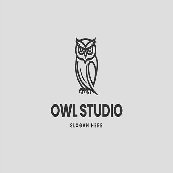 Owl Logo 2023 11 27 05 27 34 Utc